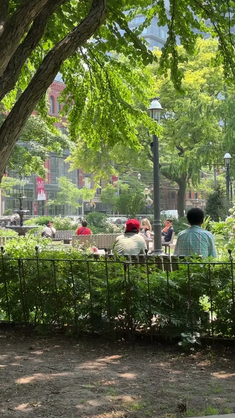 People sitting among mature trees in a Toronto park