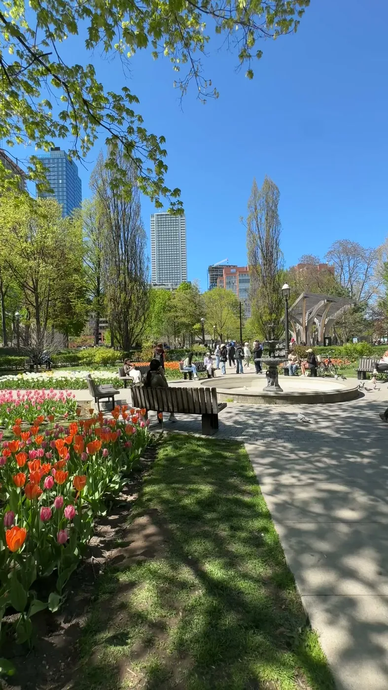 Tulips, mature trees and people in a Toronto park with towers beyond